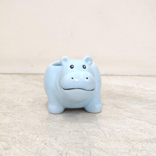 Baby blue hippo ceramic planter for succulents and small indoor plants