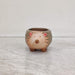 Baby hedgehog ceramic planter for succulents and small indoor plants