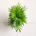 Bamboo Palm tabletop indoor plant