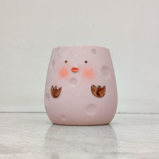 Blush Chick Ceramic Pot