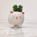 Cat Ceramic Pot for Succulents