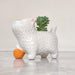 Premium kitten ceramic planter ideal for succulents and air plants