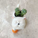 ceramic-playful-kitten-pot-hn207-indoor-plant-pot