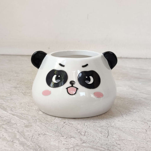 Cheeky panda face ceramic planter for succulents and small indoor plants