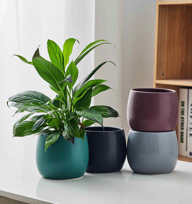 Table Pot ColorSplash Ceramic Planters - Stylish Tabletop Pots for Indoor Plants ...