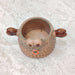 Premium crab ceramic planter ideal for succulents and air plants