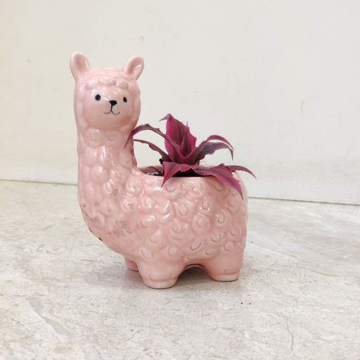 Cute pink alpaca ceramic planter for home and office decor