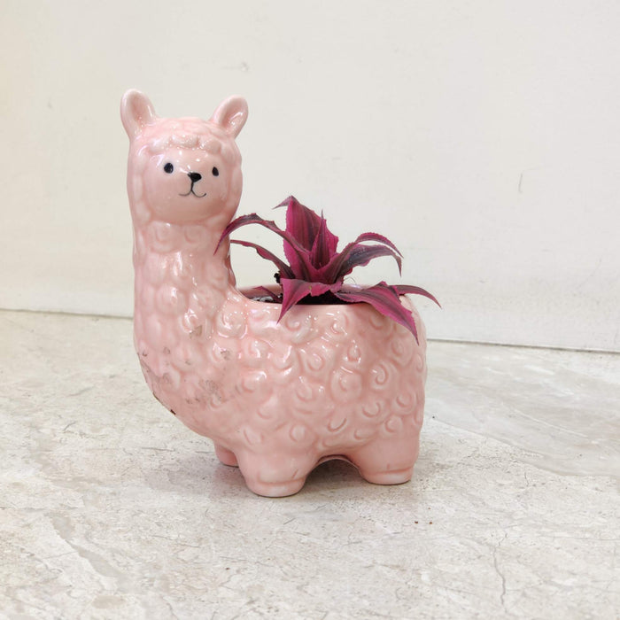 Cute pink alpaca ceramic planter for home and office decor