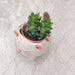 Cute Animal Ceramic Planter