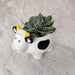 Cute dairy cow ceramic planter for home and office decor