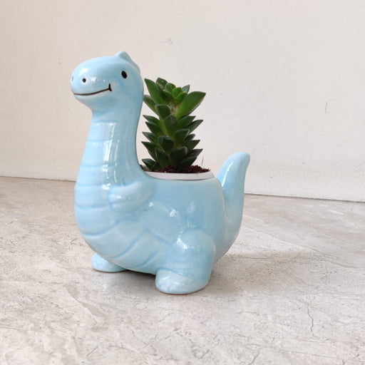 Cute dinosaur ceramic planter for home and office decor