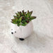 Cute hedgehog ceramic planter for home and office decor