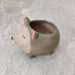 Cute smiling hedgehog ceramic planter for home and office decor