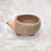 Cute Hedgehog Plant Pot