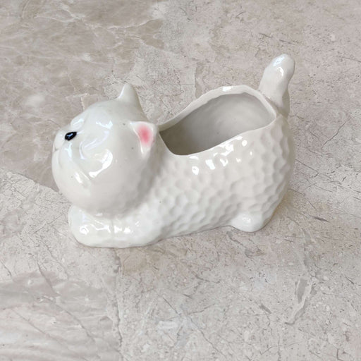 Cute white kitten ceramic planter for home and office decor