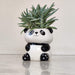 Cute panda ceramic planter for succulents and small indoor plants