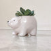 Cute polar bear ceramic planter for home and office decor