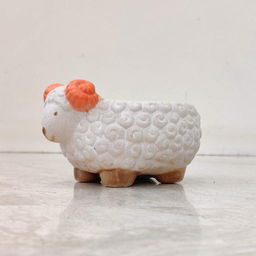 Cute Sheep Plant Pot