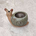 Snail ceramic pot for tabletop and shelf display