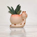Cute Snail Plant Pot