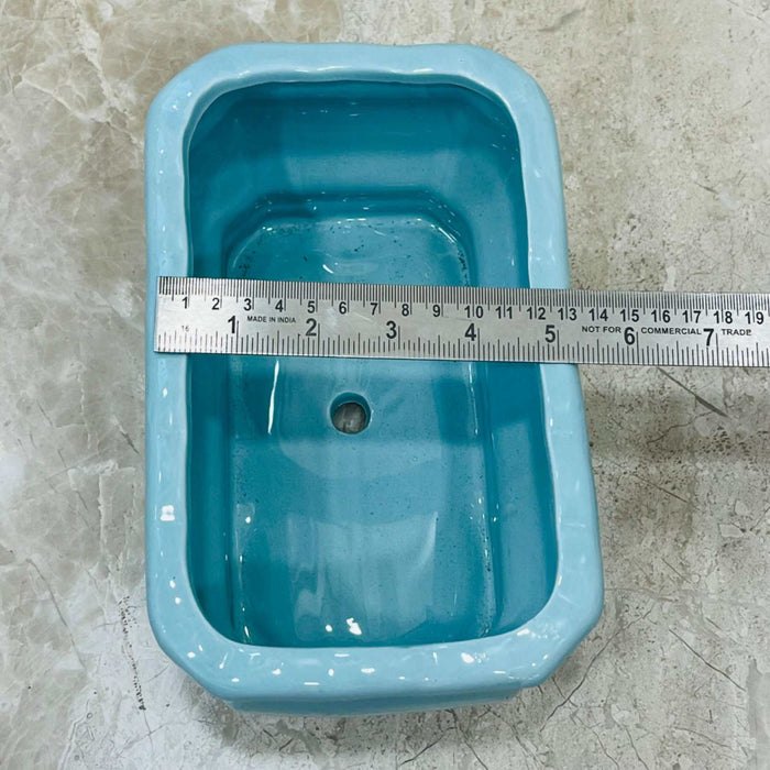 Decorative planter for succulents