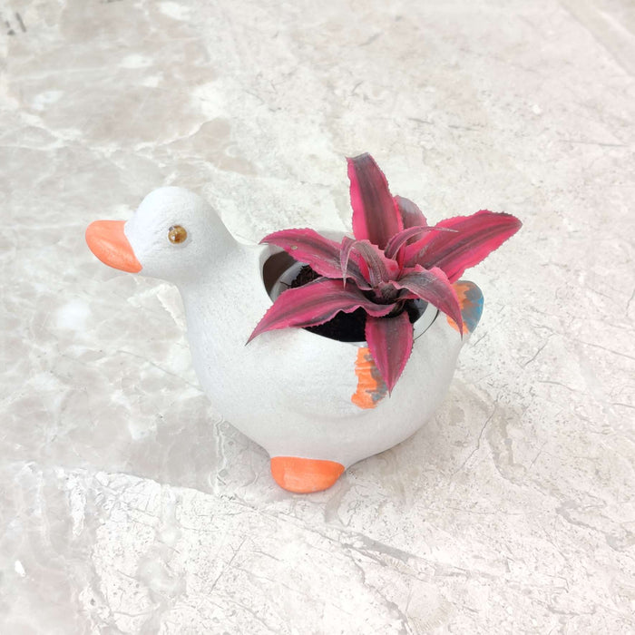 Decorative Duck Indoor Planter