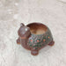 Decorative happy turtle ceramic pot for tabletop and shelf display