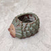 Decorative hedgehog ceramic pot for tabletop and shelf display