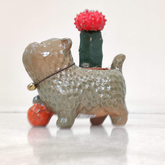 Decorative Lucky Cat Planter