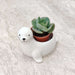 Decorative seal ceramic pot for tabletop and shelf display