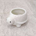 Decorative tiny turtle ceramic pot for tabletop and shelf display