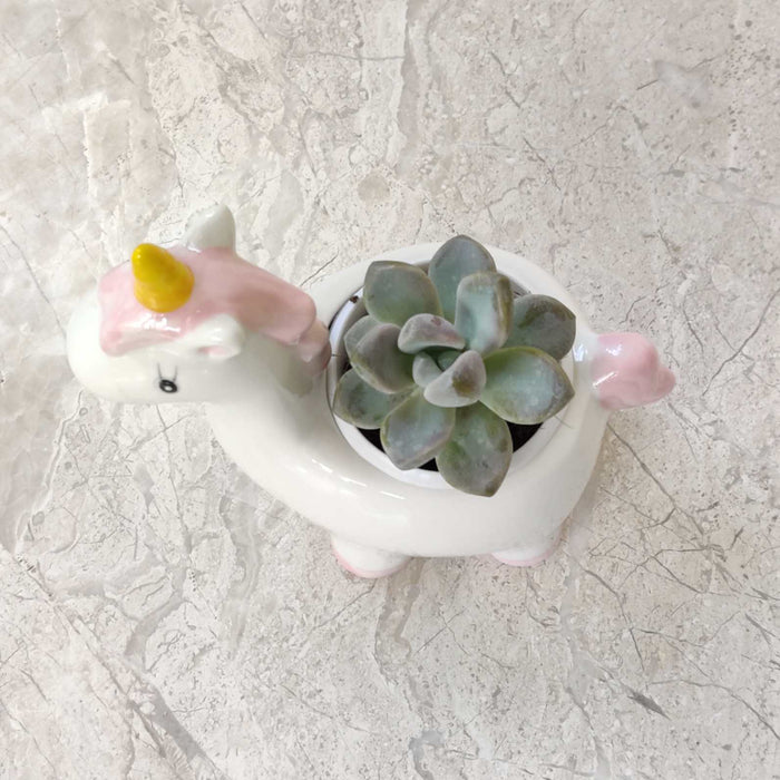 Decorative Unicorn Indoor Planter