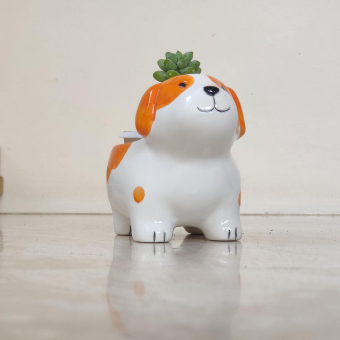 remium puppy ceramic planter ideal for succulents and air plants