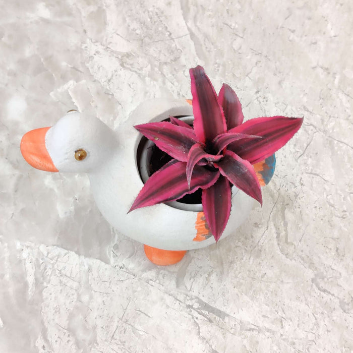 Animal Ceramic Plant Pot