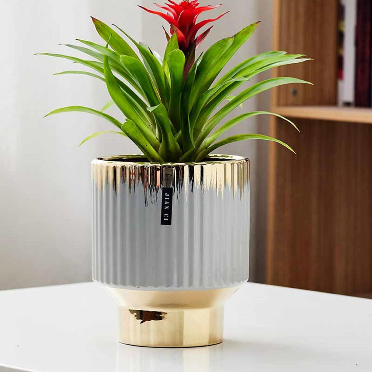 indoor silver plant pots Buy Luxury Gold & Silver Ceramic Pot for Indoor Plants – ChhajedGarden.com