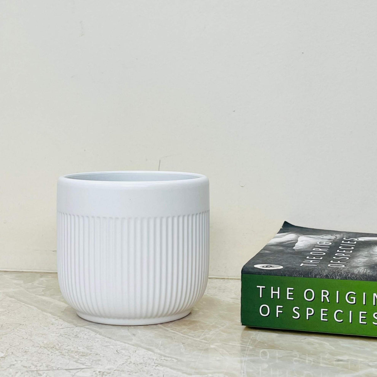 Modern White Ribbed Ceramic Planter – Minimalist Indoor Plant Pot ...