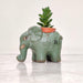 Premium elephant ceramic planter ideal for succulents and air plants