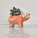 Premium fox ceramic planter ideal for succulents and air plants