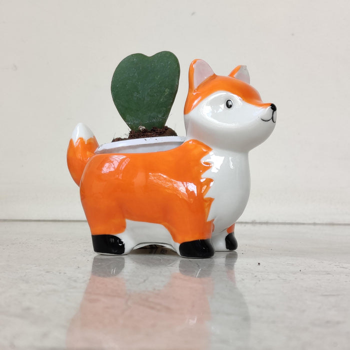 Premium charming fox ceramic planter ideal for succulents and air plants