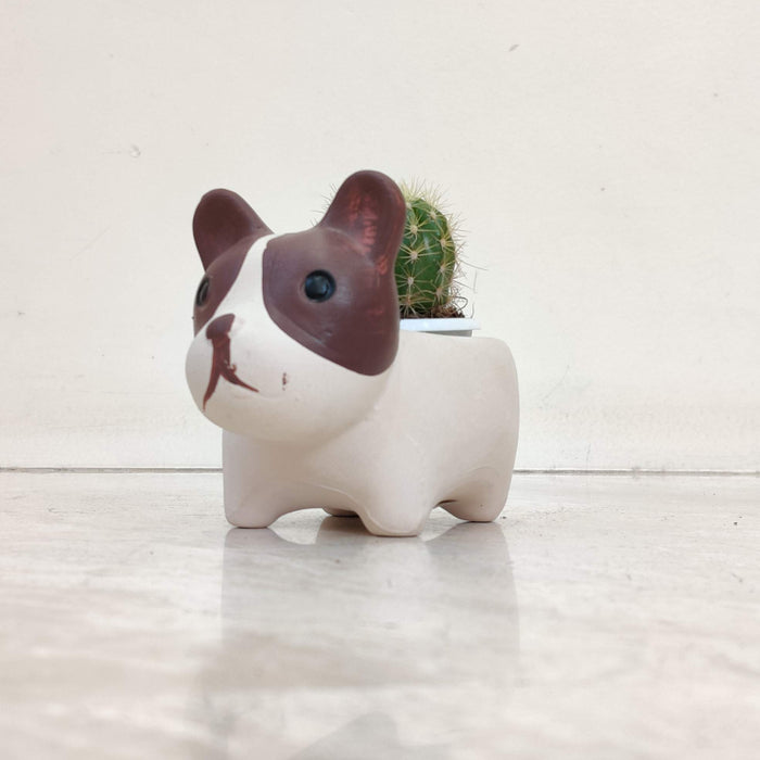 French Bulldog Ceramic Planter