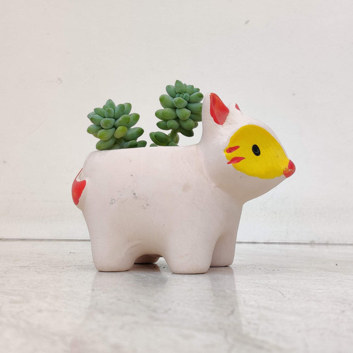 Cat ceramic planter gift for plant lovers and cat enthusiasts