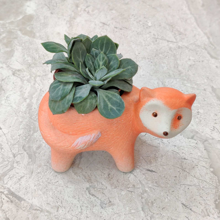 Fox ceramic planter gift for plant lovers and home decor enthusiasts