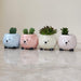 Happy hedgehog ceramic planter gift for plant