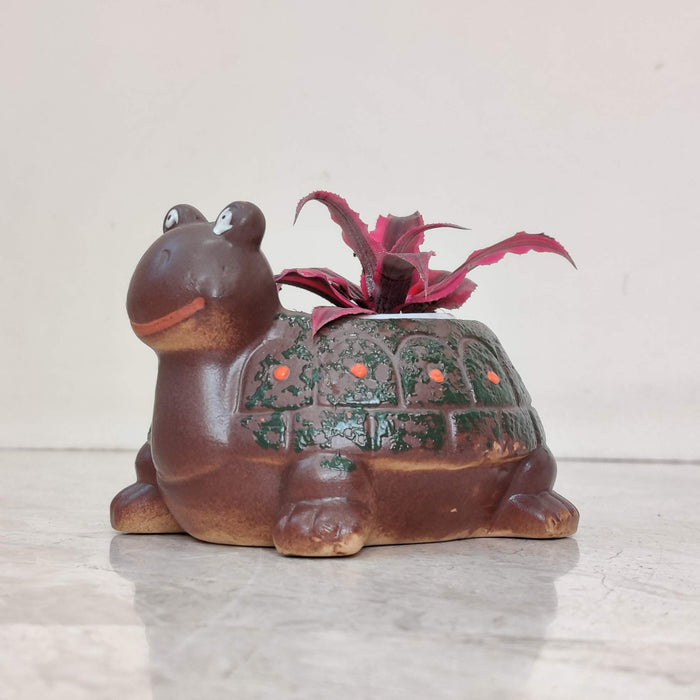 Happy turtle ceramic planter gift for plant lovers