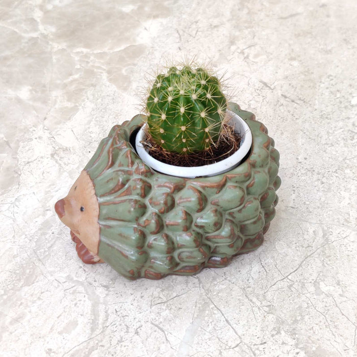 Hedgehog ceramic planter gift for plant lovers and home decor enthusiasts