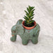 Royal elephant ceramic planter gift for plant lovers and home decor enthusiasts