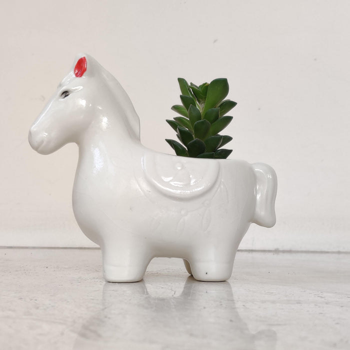 Royal white horse ceramic planter gift for plant lovers and home decor enthusiasts