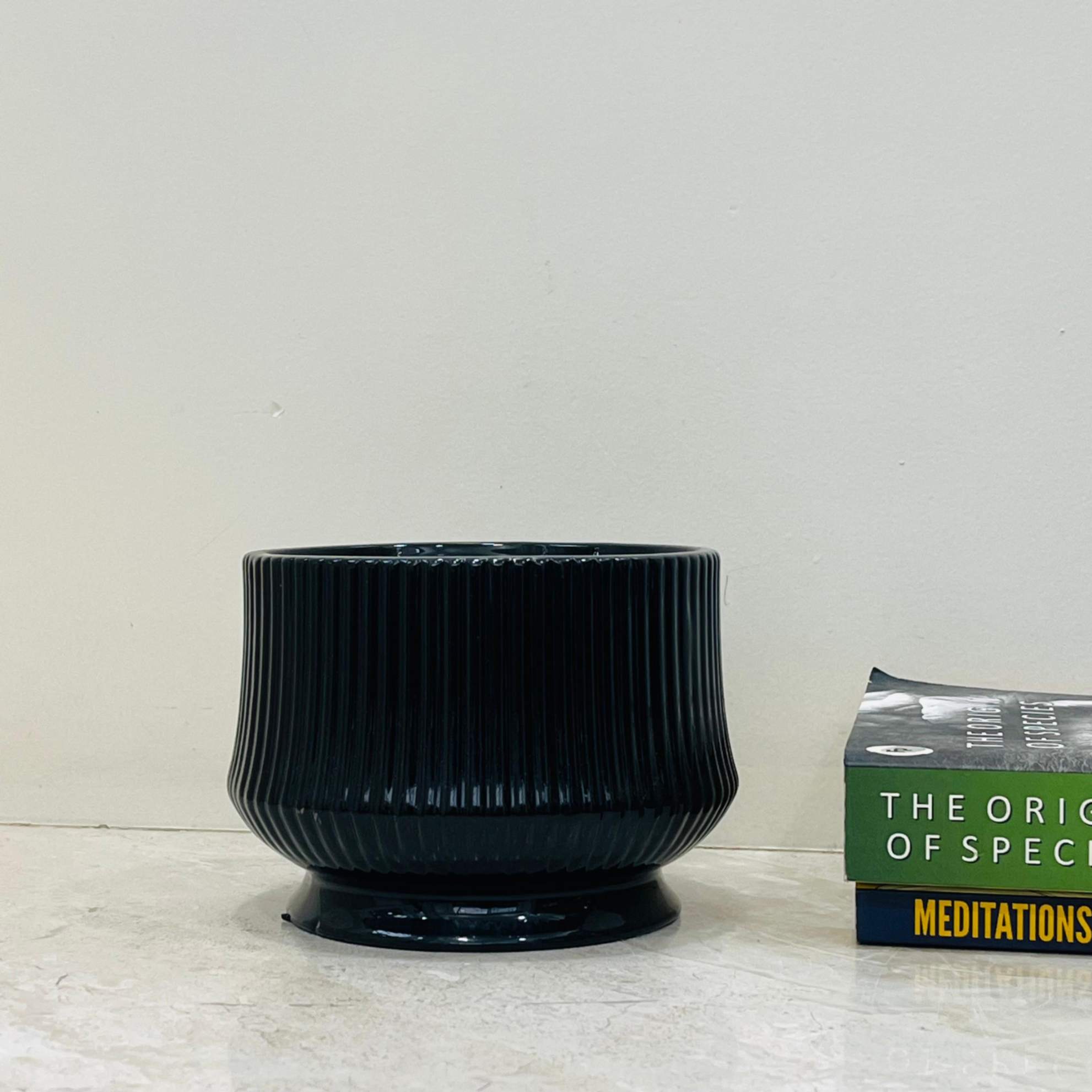 Buy Glossy Black Ribbed Ceramic Planter – Modern Indoor Plant Pot ...