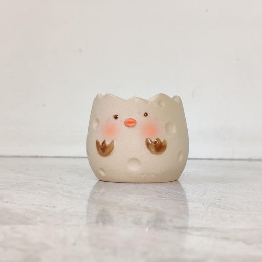 Happy chick eggshell ceramic planter for succulents and small indoor plants