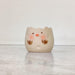 Happy chick eggshell ceramic planter for succulents and small indoor plants